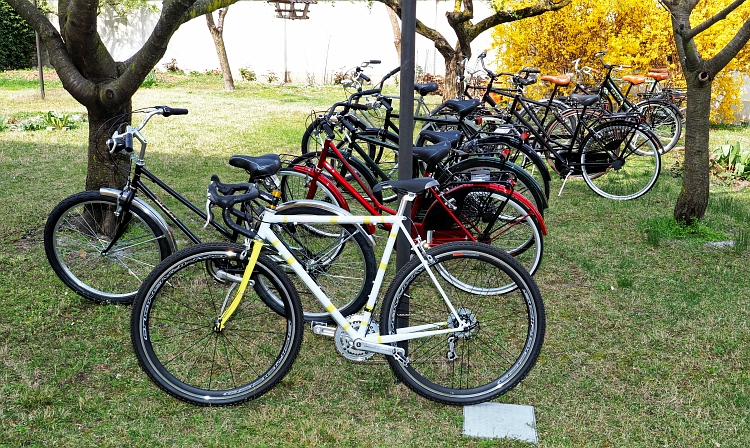 Arriva la primavera, tornano le rondini, torna anche qualche nuova bici. Arriva la primavera, tornano le rondini, torna anche qualche nuova bici.